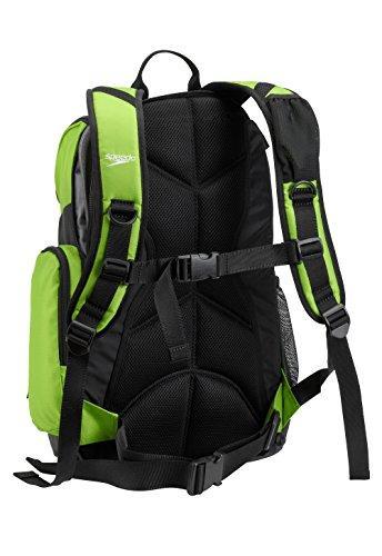 Speedo Large Teamster Backpack, 35-Liter