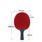 SSHHI 6 Star Table Tennis Bats,Ping Pong Paddle Professional,Comfortable Handle,Can Be Used for Indoor and Outdoor Game,Fashion/As Shown / 15.1×25.8CM