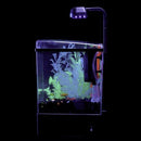 GloFish Aquarium Kit w/ Hood, LED Lights and Whisper Filter