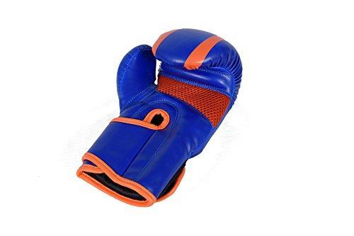 Vector Sports Kids Boxing Kickboxing Children MMA Sparring Gear Junior Heavy Bag Training Gloves 4-6OZ Maya Hide Leather Hand Crafted Pro Style