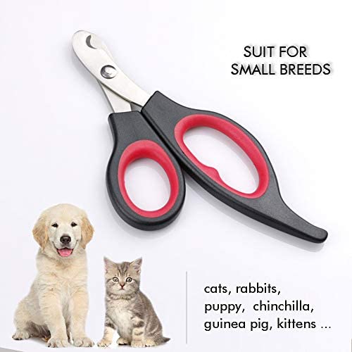 Elfirly Professional Pet Grooming Scissor with Round Tip Stainless Steel Dog Eye Cutter for Dogs and Cats, Professional Grooming Tool, Size 6.70" x 2.6" x 0.43"