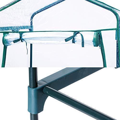 Worth 5 Tier Mini Greenhouse with Clear Polyethylene Cover, 27" Long x 19" Wide x 75" High Garden Green House