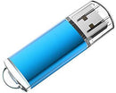 RAOYI 10Pack 2G 2GB USB Flash Drive USB 2.0 Memory Stick Thumb Drive Pen Drive Blue