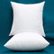 YSTHER Set of 2, Down and Feather Cushion, Decorative Throw Pillow Insert 18x18 for Couch