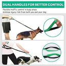 Paw Lifestyles Hands Free Dog Leash for Running Walking Training Hiking, Dual-Handle Reflective Bungee, Poop Bag Dispenser Pouch, Adjustable Waist Belt, Shock Absorbing, Ideal for Medium to Large Dogs