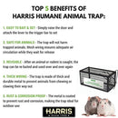 Harris Catch & Release Humane Cage Trap for Rats, Chipmunks, and Small Squirrels (2-Pack)