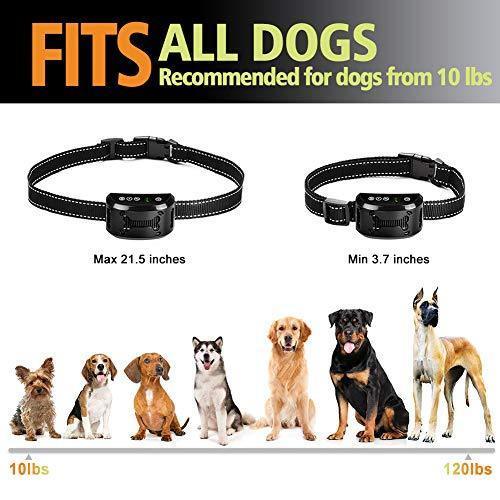 Tebaba Dog Bark Collar - Dog Anti Bark Collar - Stop Barking with Beep/Vibration/Harmless Shock, Rechargeable and Waterproof Humane No Bark Control for Small Medium and Large Dog