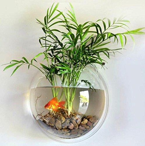 Sweetsea Hanging Wall Mounted Fish Bowl Aquaponic Tank Aquariums Plant Fish Bubble - Clear (Medium)