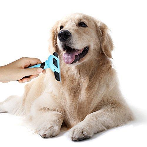 Cary Bear Grooming Brush and Deshedding Tool for Dog and Cat with Short to Long Hair - Large Comb Efficiently Remove Loose Hair and Reduce Shedding for Small Medium & Large Pet