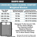 Allstar Innovations Sharper Image Calming Comfort Weighted Blanket-20 lbs, 20-Pound, Grey