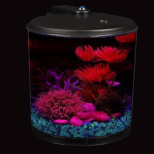 Koller Products AquaView 2-Gallon 360 Fish Tank with Power Filter and LED Lighting - AQ360-24C