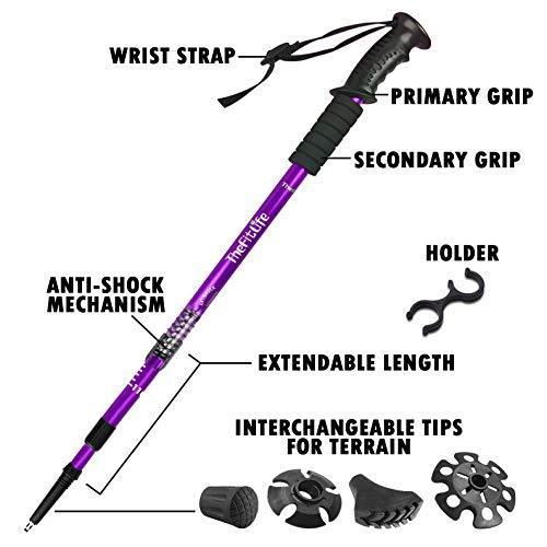 TheFitLife Nordic Walking Trekking Poles - 2 Pack with Antishock and Quick Lock System, Telescopic, Collapsible, Ultralight for Hiking, Camping, Mountaining, Backpacking, Walking, Trekking