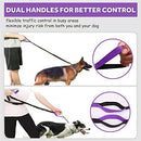 Paw Lifestyles Hands Free Dog Leash for Running Walking Training Hiking, Dual-Handle Reflective Bungee, Poop Bag Dispenser Pouch, Adjustable Waist Belt, Shock Absorbing, Ideal for Medium to Large Dogs