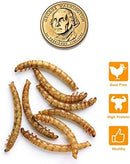 FROLIC WINGS 5 lbs Mealworms, 100 Percent Non-GMO Dried Delicious Mealworms Treats for Chickens, Wild Birds, Fish, Reptiles