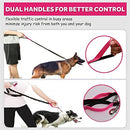 Paw Lifestyles Hands Free Dog Leash for Running Walking Training Hiking, Dual-Handle Reflective Bungee, Poop Bag Dispenser Pouch, Adjustable Waist Belt, Shock Absorbing, Ideal for Medium to Large Dogs