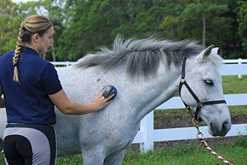 Oster Equine Care Series 7-Piece Grooming Kit