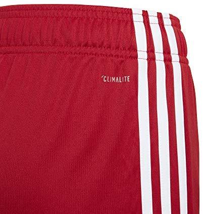 adidas Tastigo19 Youth Soccer Shorts