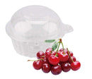 50 Pack Clear Plastic Single Individual Cupcake Muffin Dome Holders Cases Boxes Cups Pods by Cakes of Eden