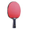 SSHHI Table Tennis Bats,Ping Pong Paddle Portable,Comfortable Handle,Suitable for Daily Training, Fashion/As Shown / 14.9×24.3cm