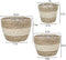 La Jolíe Muse Natural Seagrass Planter Basket (3-Pack), Plant Pot Cover, Indoor Plant Pots (10 Inch)