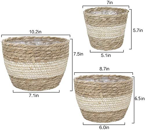 La Jolíe Muse Natural Seagrass Planter Basket (3-Pack), Plant Pot Cover, Indoor Plant Pots (10 Inch)