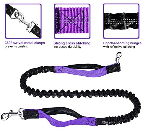 Paw Lifestyles Hands Free Dog Leash for Running Walking Training Hiking, Dual-Handle Reflective Bungee, Poop Bag Dispenser Pouch, Adjustable Waist Belt, Shock Absorbing, Ideal for Medium to Large Dogs