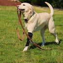 SEISSO Dog Brace for Canine Leg Wound Care, Band Healing Recovery, Sprains Helps with Loss of Stability Caused by Arthritis, Dog Rear Leg Braces