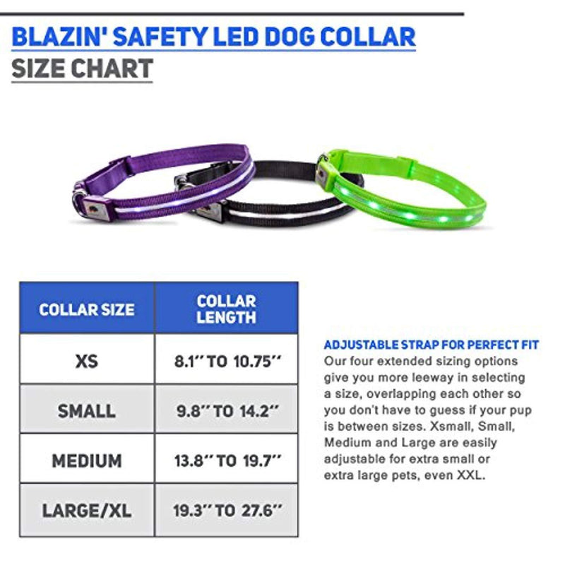 Blazin' Safety LED Dog Collar – USB Rechargeable with Water Resistant Flashing Light