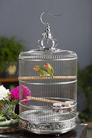 Prevue Pet Products Prevue Pet Products Stainless Steel Bird Cage