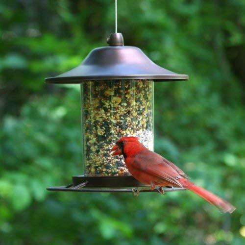 Perky-Pet 312 Panorama Bird Feeder, 2 lbs