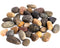 Supply Guru SG2584 River Rocks, Pebbles, Outdoor Decorative Stones, Natural Gravel, For Aquariums, Landscaping, Vase Fillers, Succulent, Tillandsia, Cactus pot, Terrarium Plants, 2 LB. Large Size.