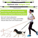 Paw Lifestyles Hands Free Dog Leash for Running Walking Training Hiking, Dual-Handle Reflective Bungee, Poop Bag Dispenser Pouch, Adjustable Waist Belt, Shock Absorbing, Ideal for Medium to Large Dogs