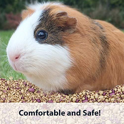 Kaytee Soft Granule Blend Bedding for Pet Cages