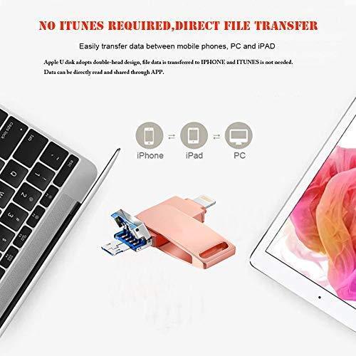 USB Flash Drive 1TB External Storage Thumb Drive Portable USB Stick Pen Drive Keychain Memory Stick for Daily Storage (Gold-1)