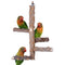 KinTor Bird Perch Nature Wood Stand for Small Medium Parrots