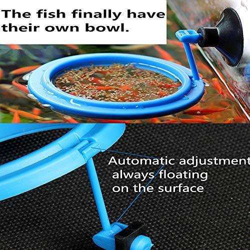 FLOURITHING 2 Pcs Fish Feeding Ring, Fish Safe Floating Food Feeder Circle Blue, with Suction Cup Easy to Install Aquarium, Square and Round Shape, for Guppy, Betta, Goldfish, Etc.