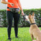 Paw Lifestyles PackUp Pouch Dog Treat Training Waist Belt, Storage Fanny Pack, and Poop Bag Dispenser