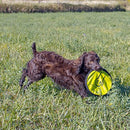 The Original Flippy Flopper Hyper Pet Frisbee 9 (Set of 5) COLORS MAY VARY