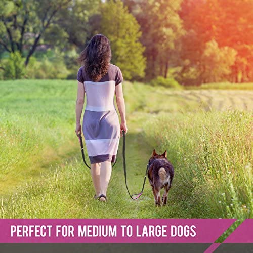 Paw Lifestyles Heavy Duty Dog Leash - 2 Handles - Padded Traffic Handle for Extra Control, 7ft Long - Perfect Leashes for Medium to Large Dogs