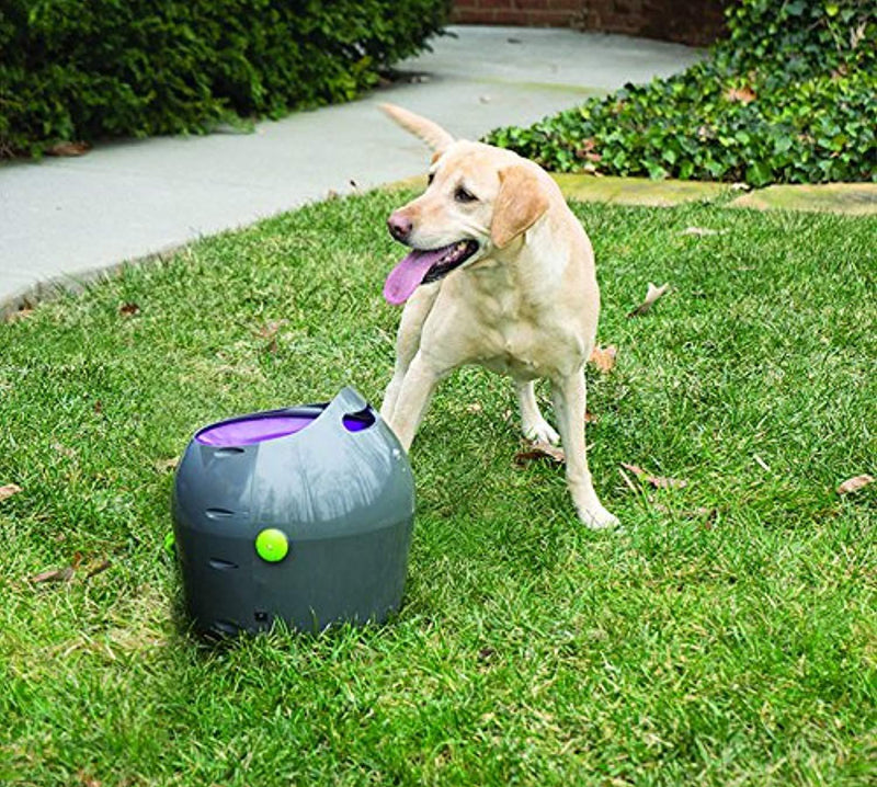 PetSafe Automatic Ball Launcher Dog Toy, Tennis Ball Throwing Machine for Dogs in Easy-Open Packaging