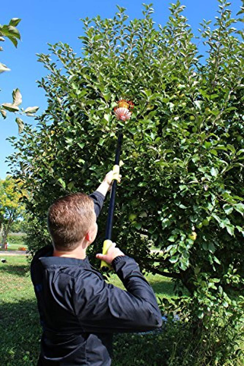 7Penn Apple Picking Fruit Tree Picker Tool with Metal Basket and Light Aluminum 4.5 to 13’ Feet Telescoping Grabber Pole