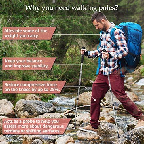 TheFitLife Nordic Walking Trekking Poles - 2 Pack with Antishock and Quick Lock System, Telescopic, Collapsible, Ultralight for Hiking, Camping, Mountaining, Backpacking, Walking, Trekking