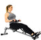 Sunny Health & Fitness SF-RW1205 12 Adjustable Resistance Rowing Machine Rower w/Digital Monitor