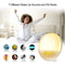 Wake Up Light Alarm Clock, Burbupps Kids Night Light Compatible with Alexa & Google Home, 7 Colored Sunrise Simulation and Sunset Fading, Dual Alarm Clock with FM Radio, USB Charge Port by Burbupps