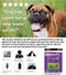 NUSENTIA Enzymes for Dogs & Cats - Enzyme Miracle - Systemic & Digestive Enzyme Formula - Powder - 364 Servings - Vegetarian