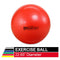 TheraBand Exercise Ball, Professional Series Stability Ball with 55 cm Diameter for Athletes 5'1" to 5'6" Tall, Slow Deflate Fitness Ball for Improved Posture, Balance, Yoga, Pilates, Core, Red