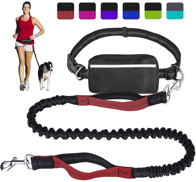 Paw Lifestyles Hands Free Dog Leash for Running Walking Training Hiking, Dual-Handle Reflective Bungee, Poop Bag Dispenser Pouch, Adjustable Waist Belt, Shock Absorbing, Ideal for Medium to Large Dogs