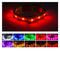 Blazin' Safety LED Dog Collar – USB Rechargeable with Water Resistant Flashing Light