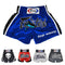 Fairtex Muay Thai Boxing Shorts Size: S M L XL - shorts for Kick Boxing MMA K1