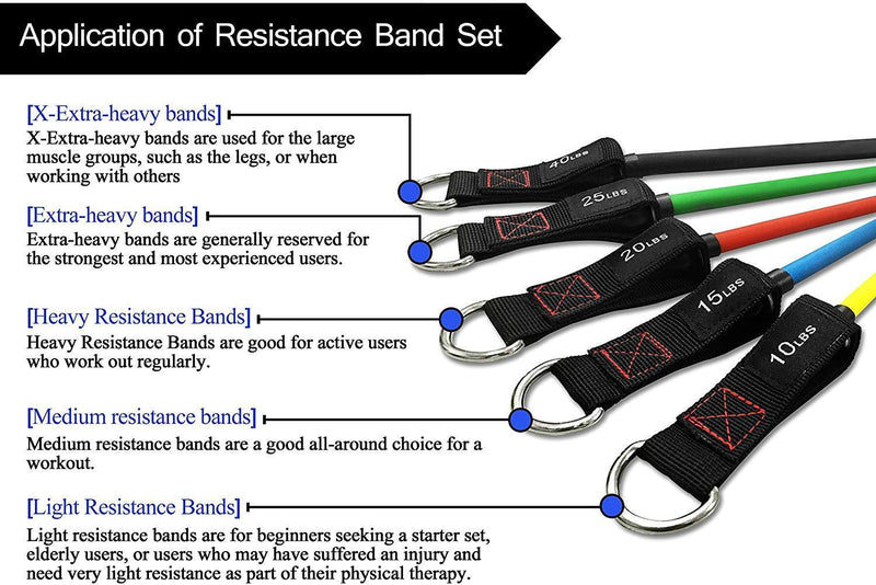 TheFitLife Exercise Resistance Bands with Handles - 5 Fitness Workout Bands Stackable up to 110 lbs, Training Tubes with Large Handles, Ankle Straps, Door Anchor Attachment, Carry Bag and Bonus eBook